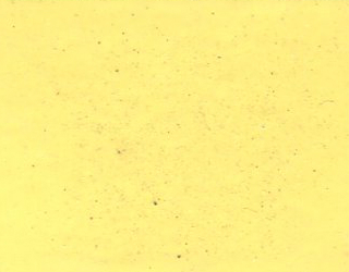 1980 Ford Prairie Yellow